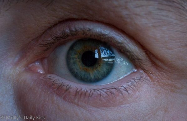 Close up shot of a green eye