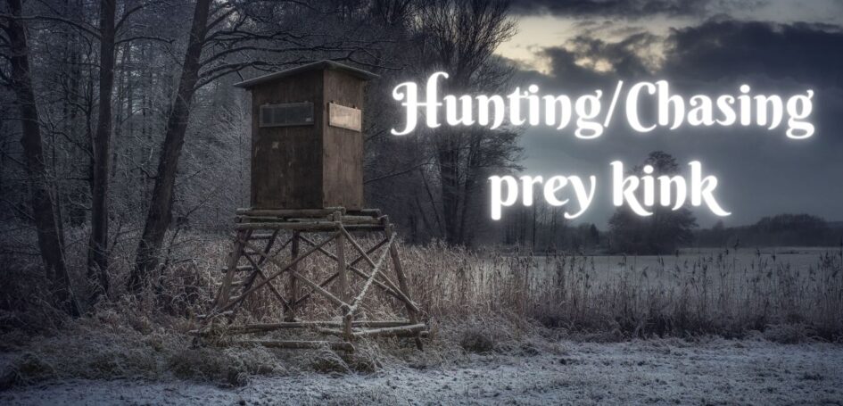 Look out cabin on the edge of woodland for post about Hunting/Chasing prey kink